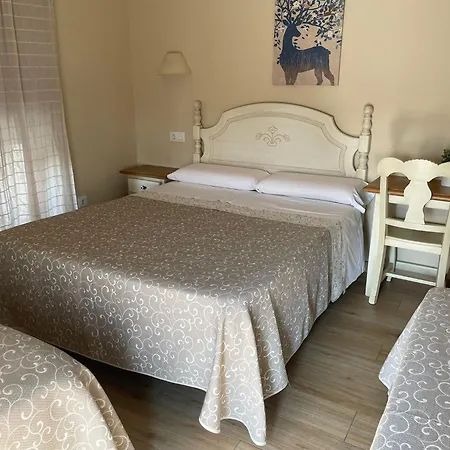 Plaza ゲストハウス トレド