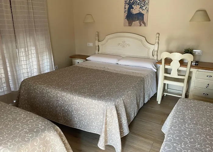 Plaza ゲストハウス トレド